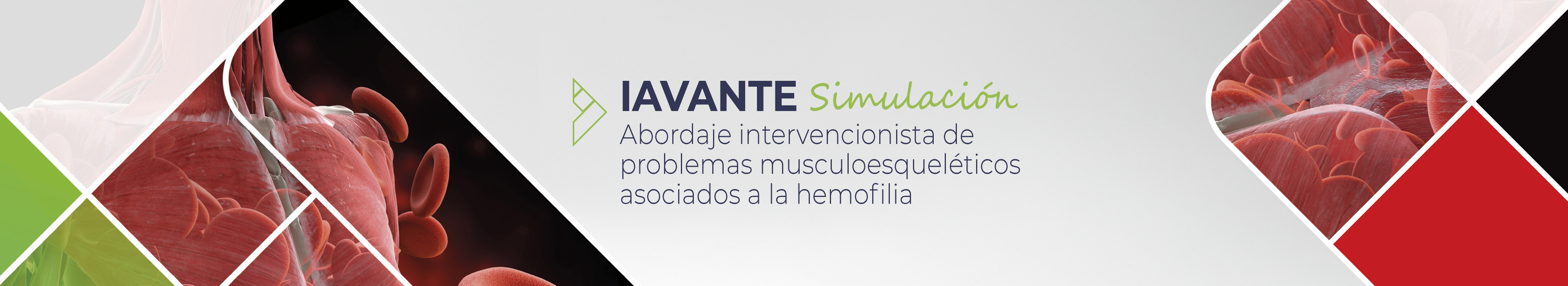 Logo CSL Iavante Simulación